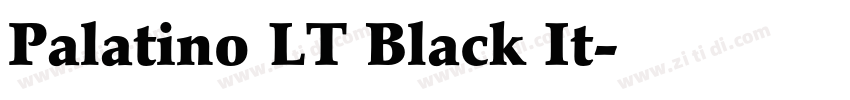 Palatino LT Black It字体转换